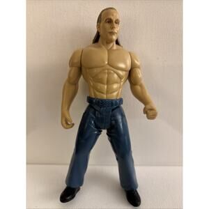 WWE - Shawn Michaels Havoc Unleashed Series 2 Action Figure
